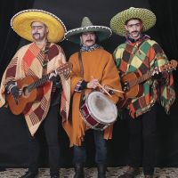 Přijďte za Elvise na festivalový karneval!