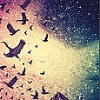 Albumy, ktoré ma v roku 2013 potešili