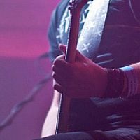 Kočky Neberem