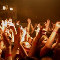 The Paranoid+Segment