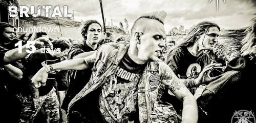 Časový harmonogram pro Brutal Assault 2014 je tady!